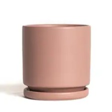 Momma Pots Cylinder 8.25"