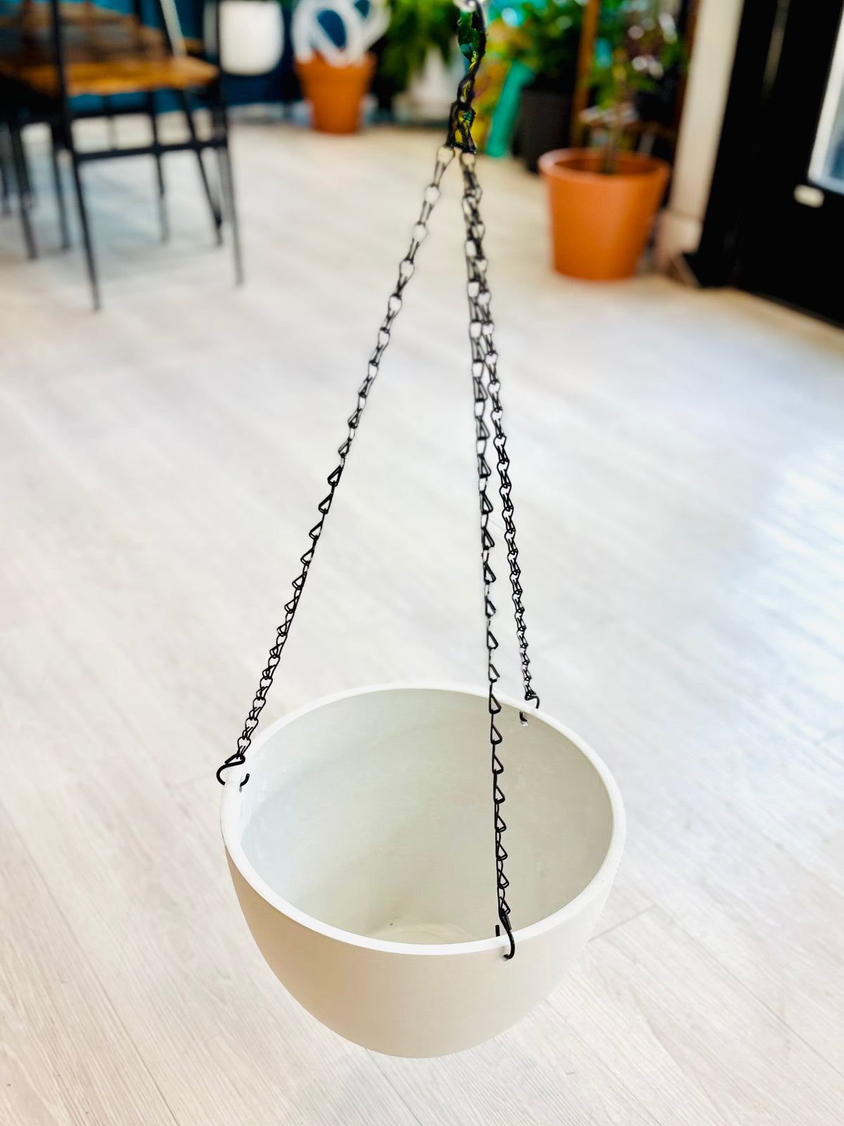 Hanging Eco Planter 12"