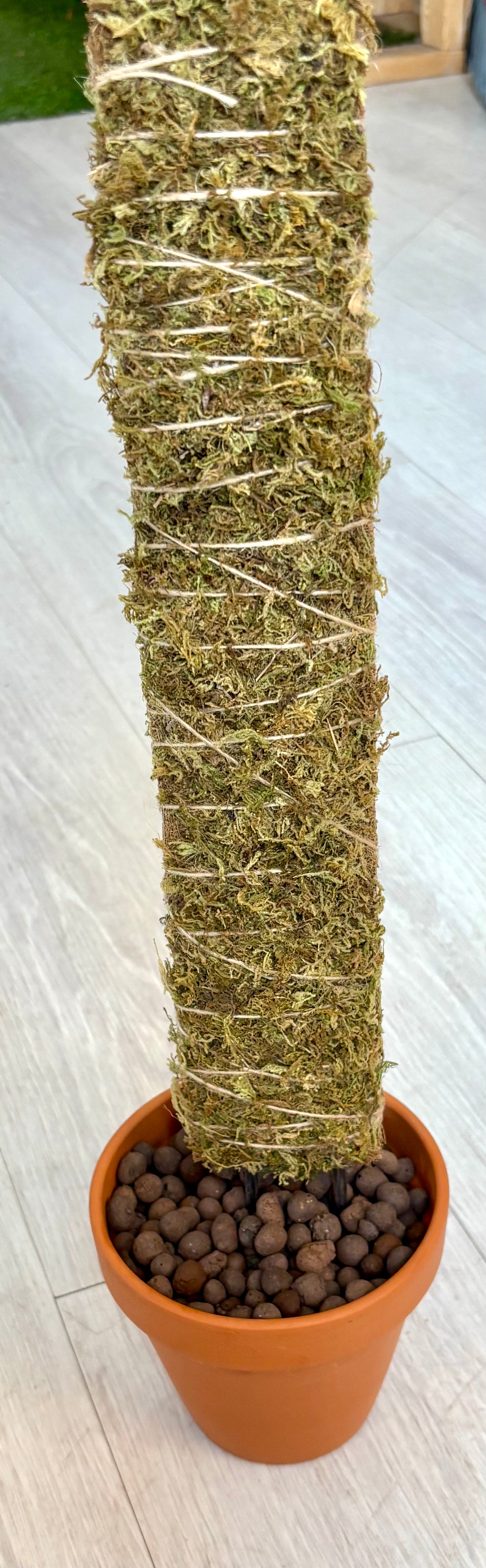 Plantera Dual-Side Plant Planks