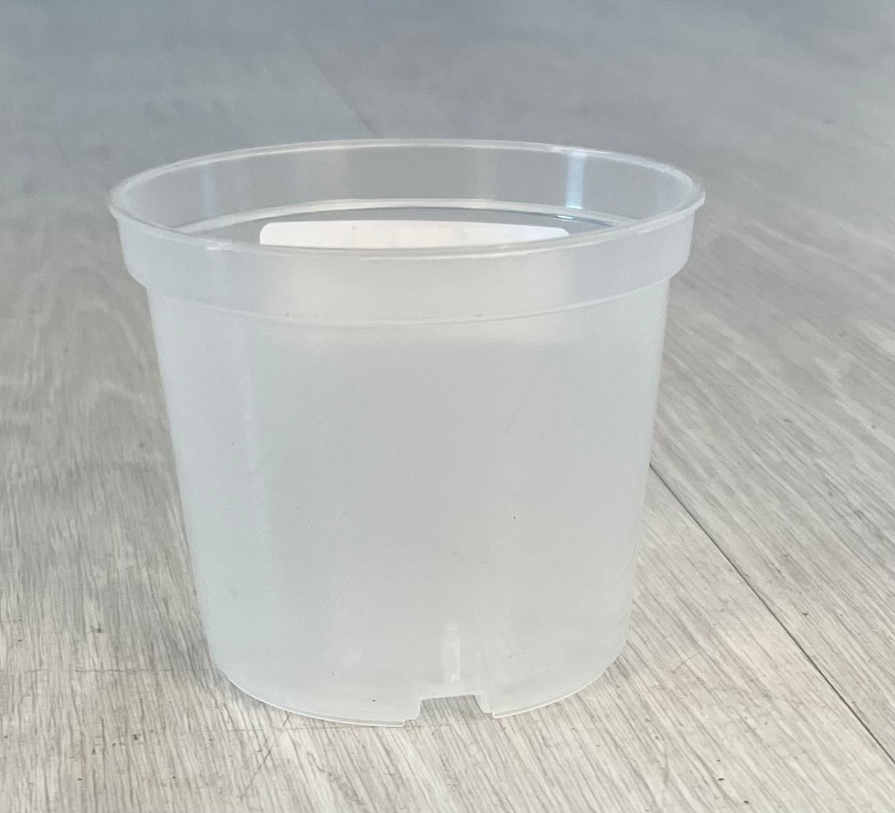 clear plastic planting pots Clear Plastic Nursery Pots – SoCal Soul Plants & Gifts