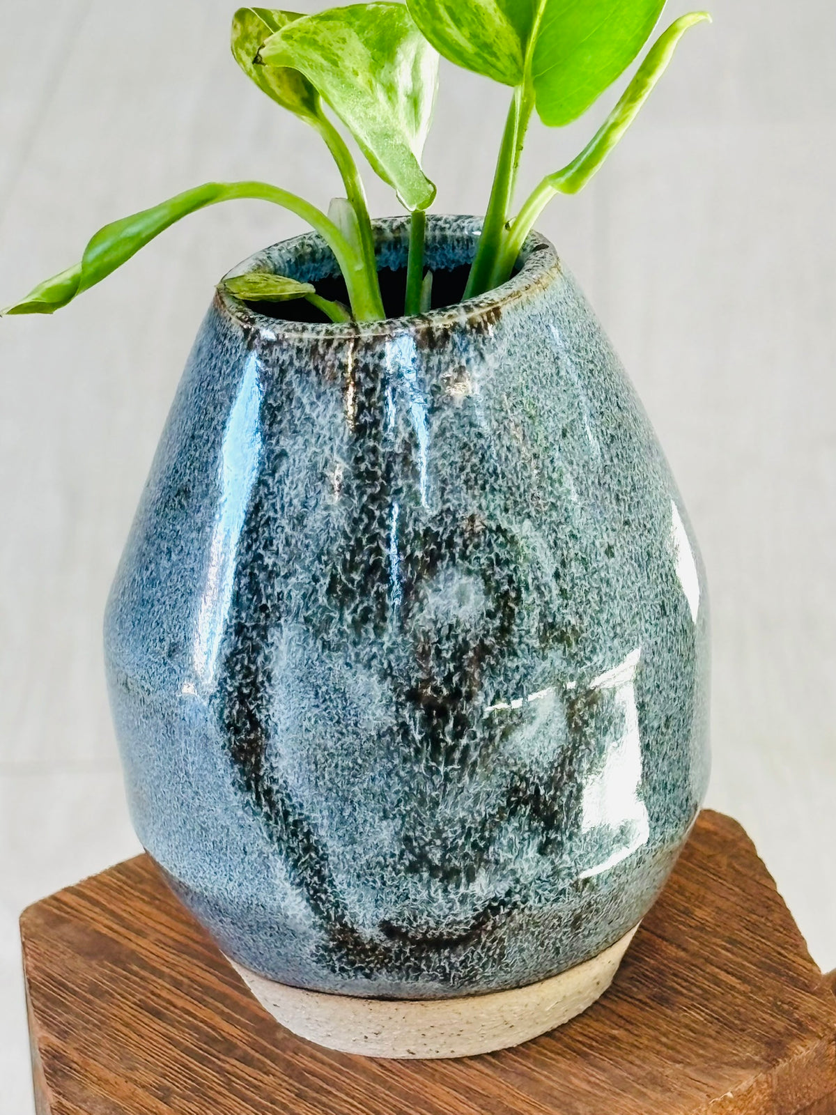 Happy Place Pottery Propagation Vases