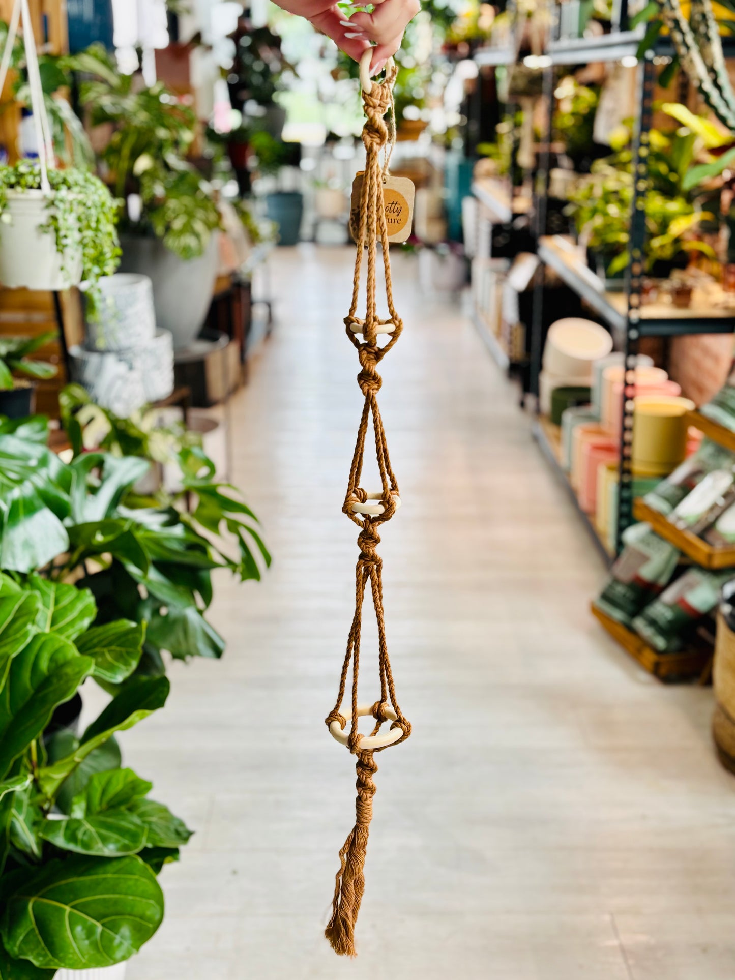Knotty By Nature Tiered Airplant Hangers