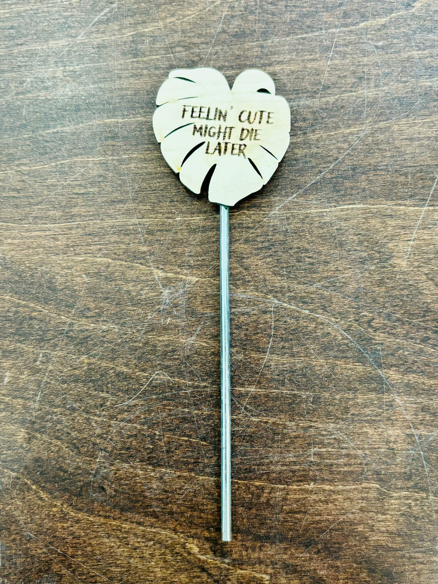 Silva & Ore Plant Picks