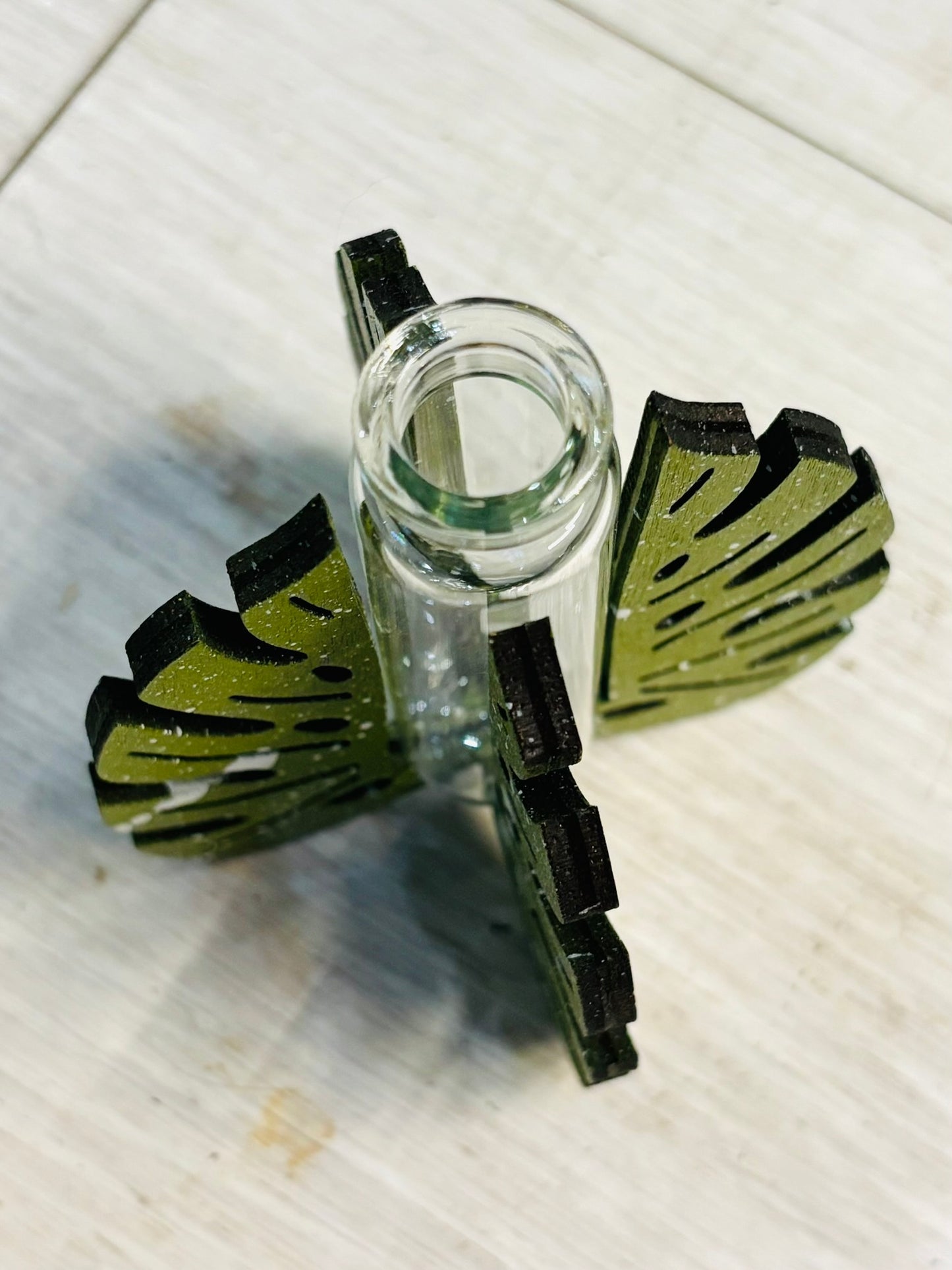 Silva & Ore Monstera Leaf Propagation Stand