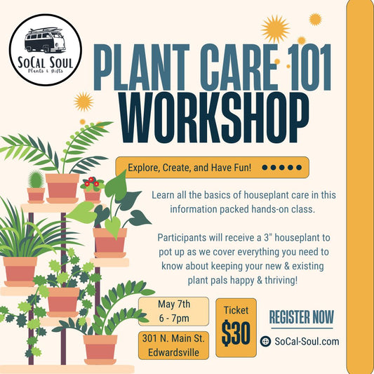Plant Care 101 - May 7th
