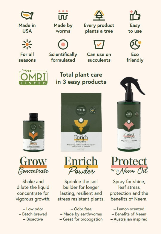 Plant Care Essential Kit
