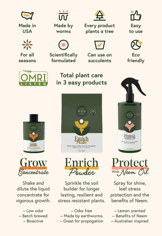 We The Wild Plant Care Essential Kit