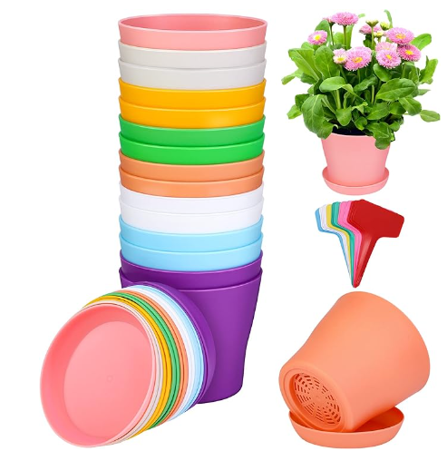 plastic plant pots and saucers Plastic Pot 3.5” – SoCal Soul Plants & Gifts