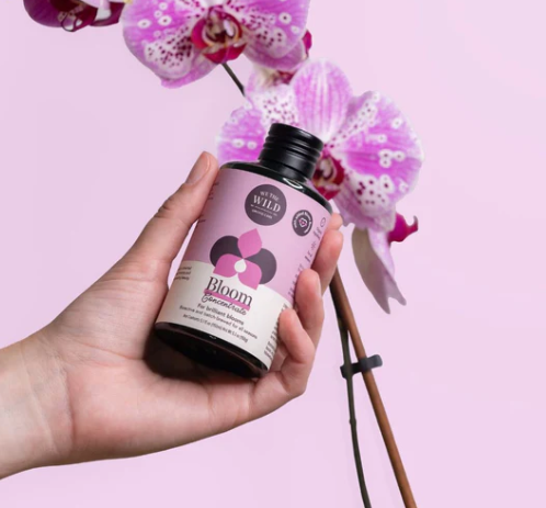 We The Wild Orchid Essential Kit