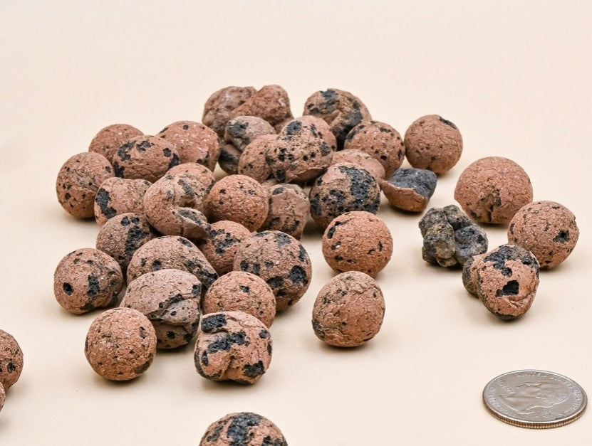 Leca Clay Balls