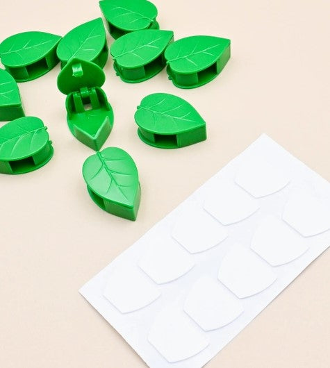 Plant Wall Clips