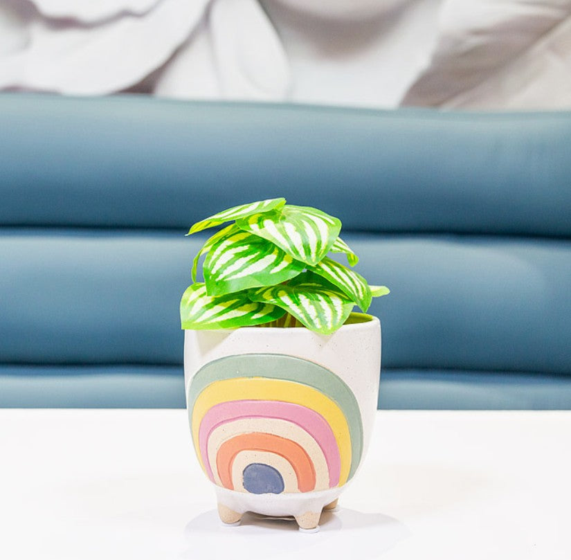 Rainbow Planters