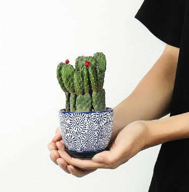 Blue Ceramic Pattern Pots 3.5"