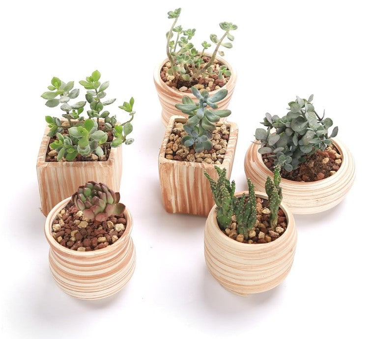Ceramic Wooden Pattern Small Pots