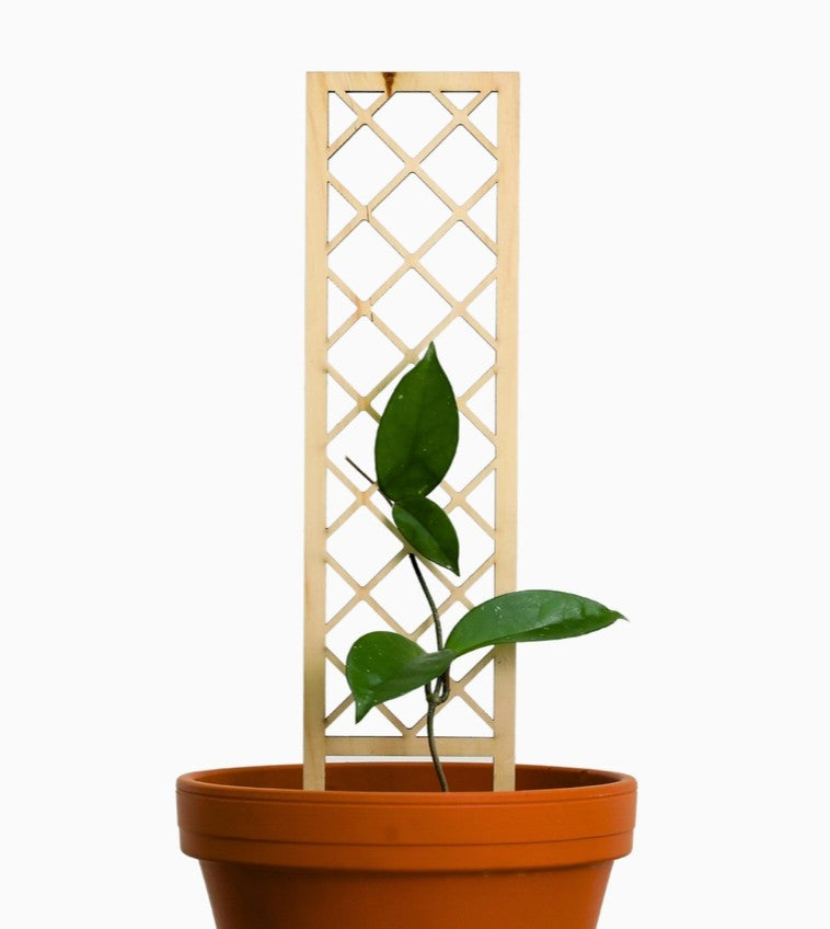 Cross Hatch Wooden Trellis