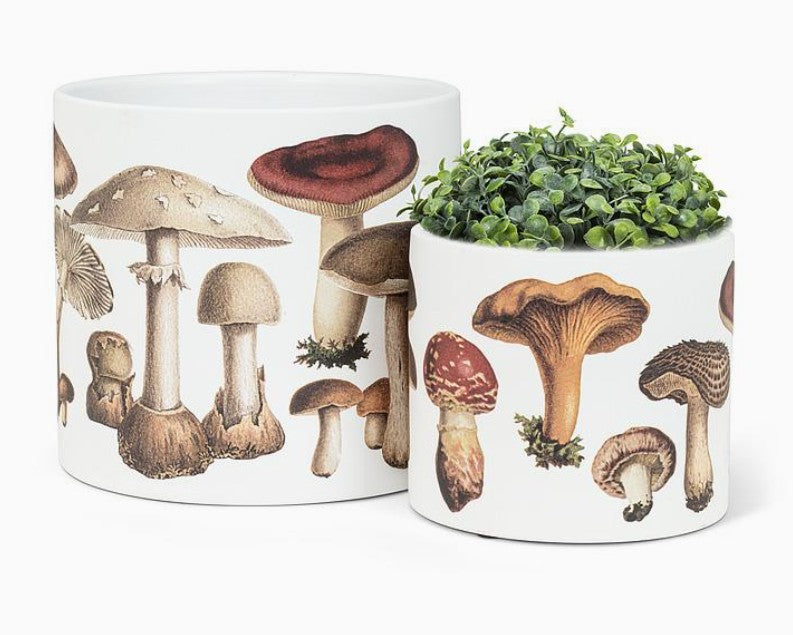 Mushroom Planter