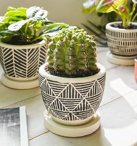 plants clay pots Geometric Clay Pot – SoCal Soul Plants & Gifts