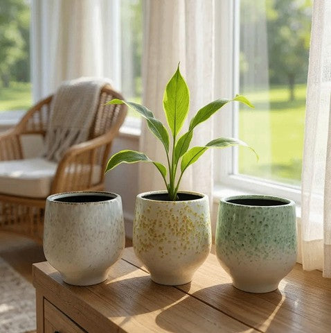Cielo Pots