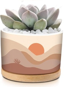 Sunset Pots
