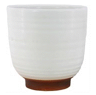 Paradise Planter