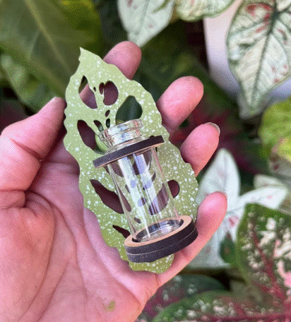 Silva & Ore Single Leaf One Vile Propagation Station Magnets
