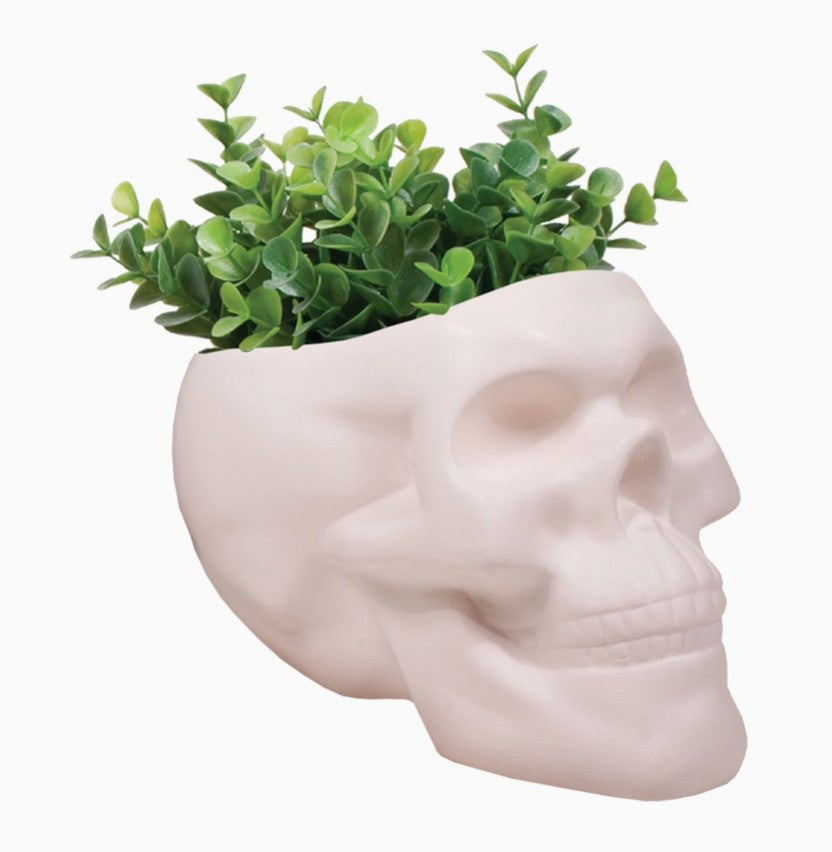 Skull Pot
