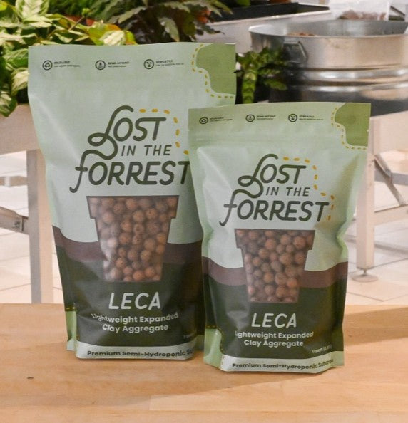 Leca