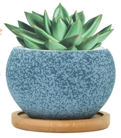 Speckled Pot
