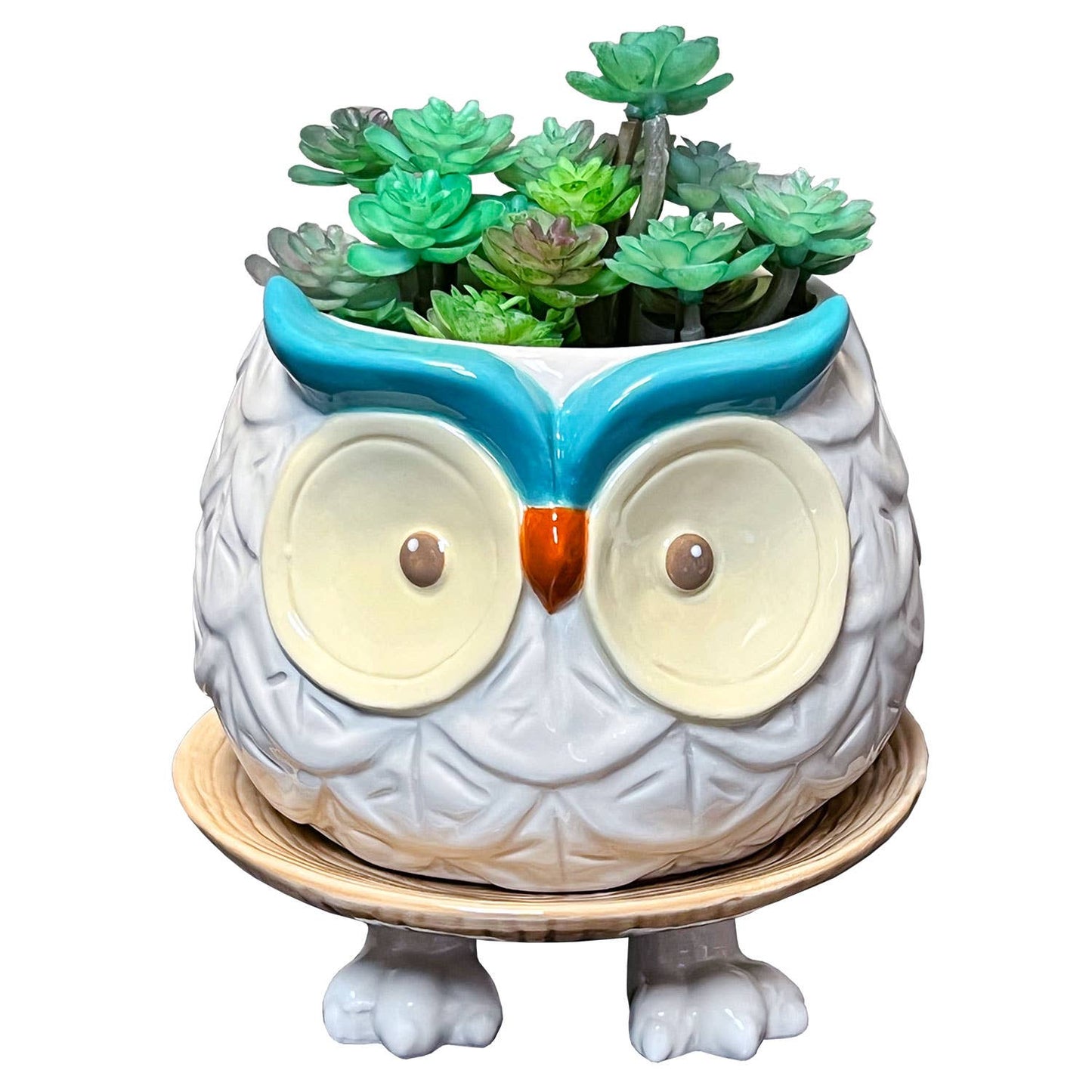 Hoots the Owl Pot