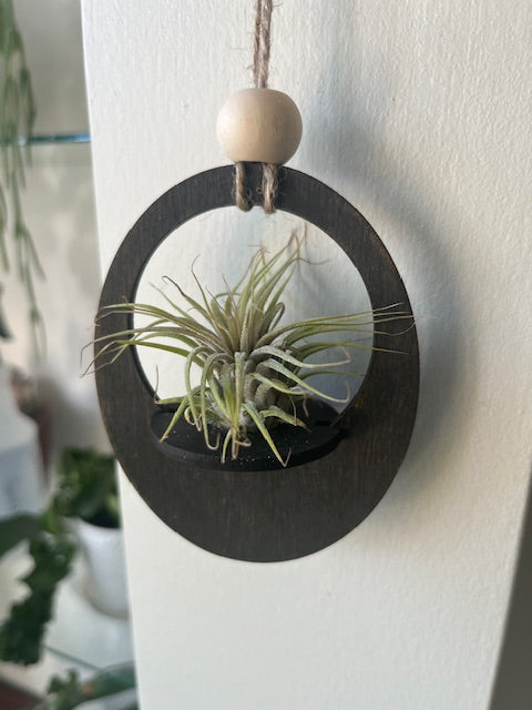 Silva & Ore Hanging Airplant Holders