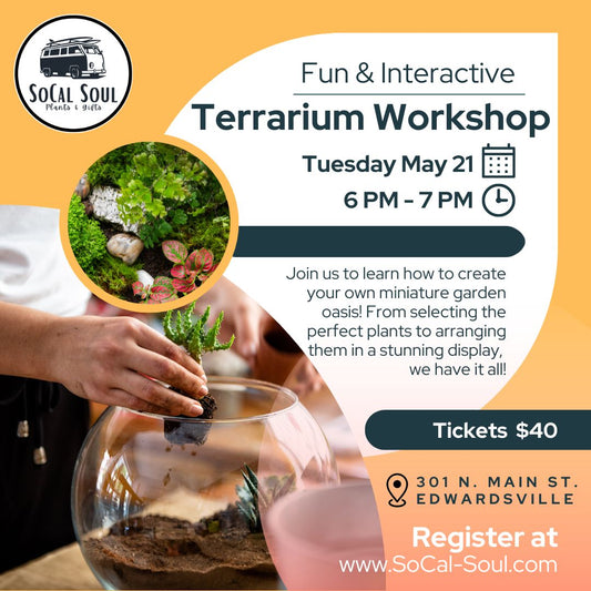 Terrarium Workshop - May 21st