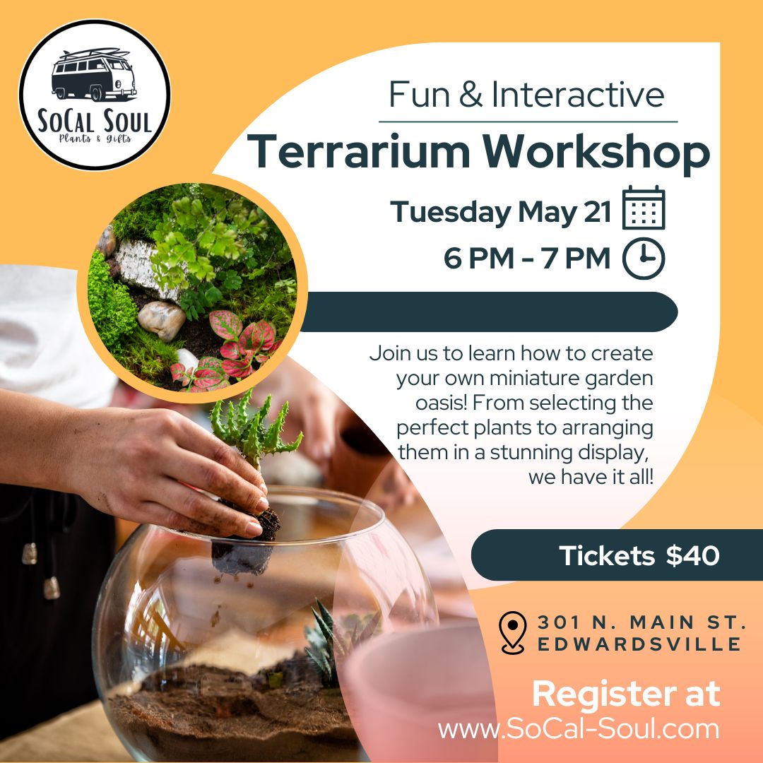 Terrarium Workshop - May 21st
