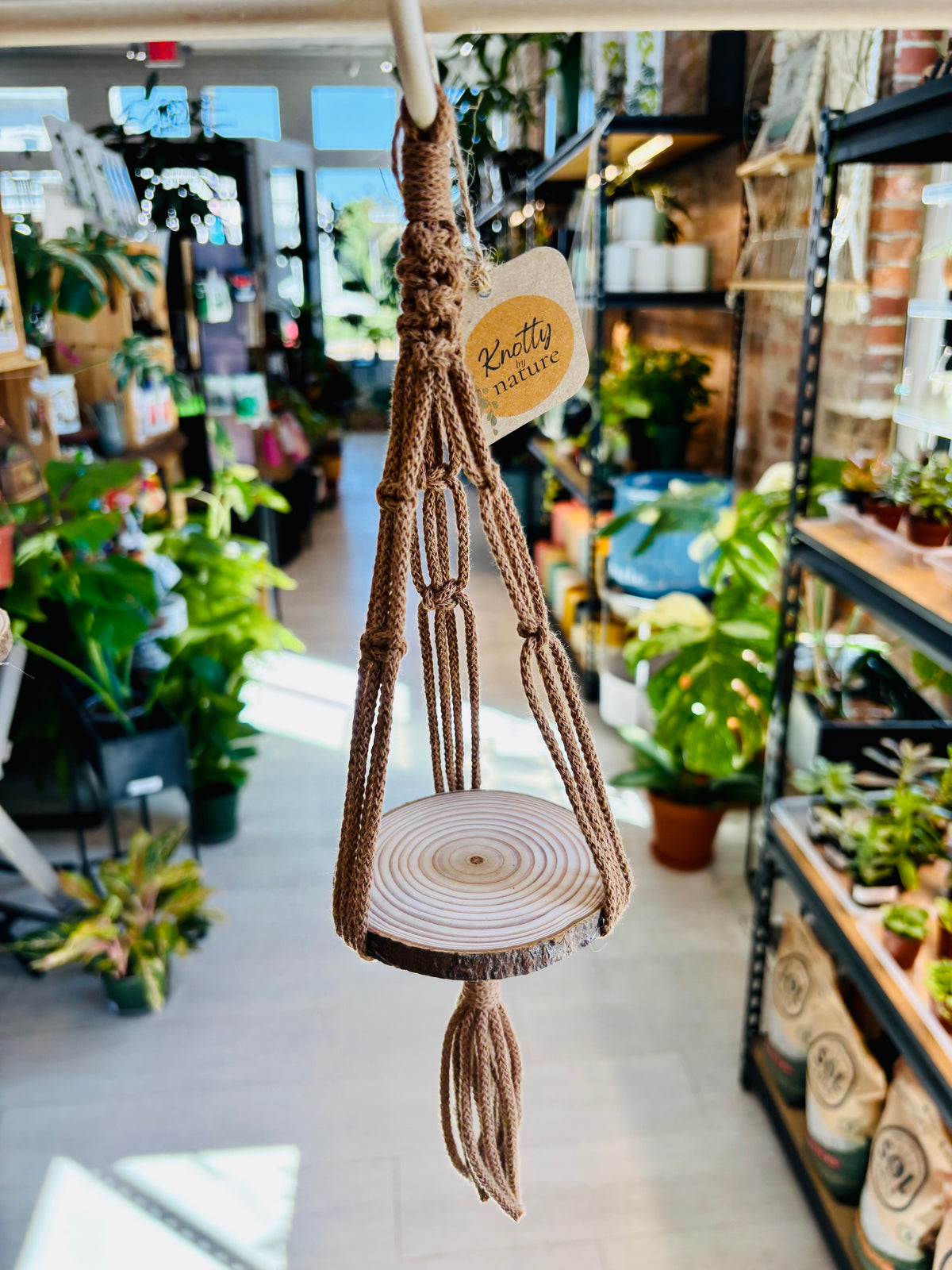 Knotty by Nature Macrame Hanger With Wooden Shelf