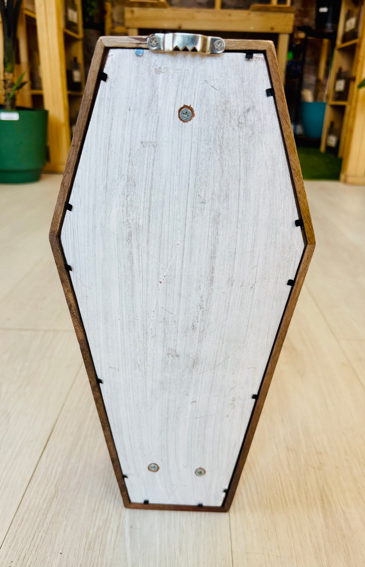 Skeleton in a Coffin