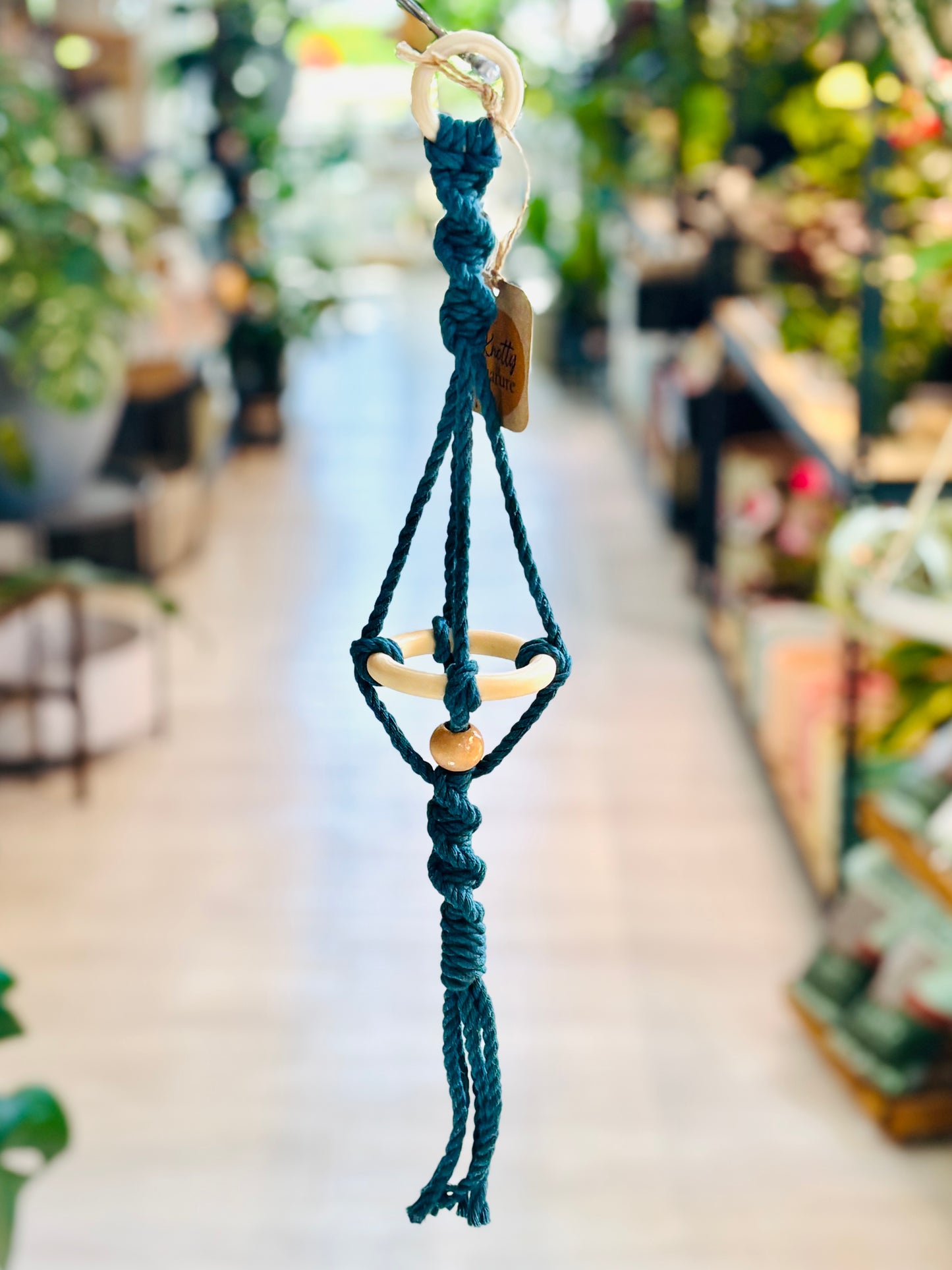 Knotty By Nature Tiered Airplant Hangers