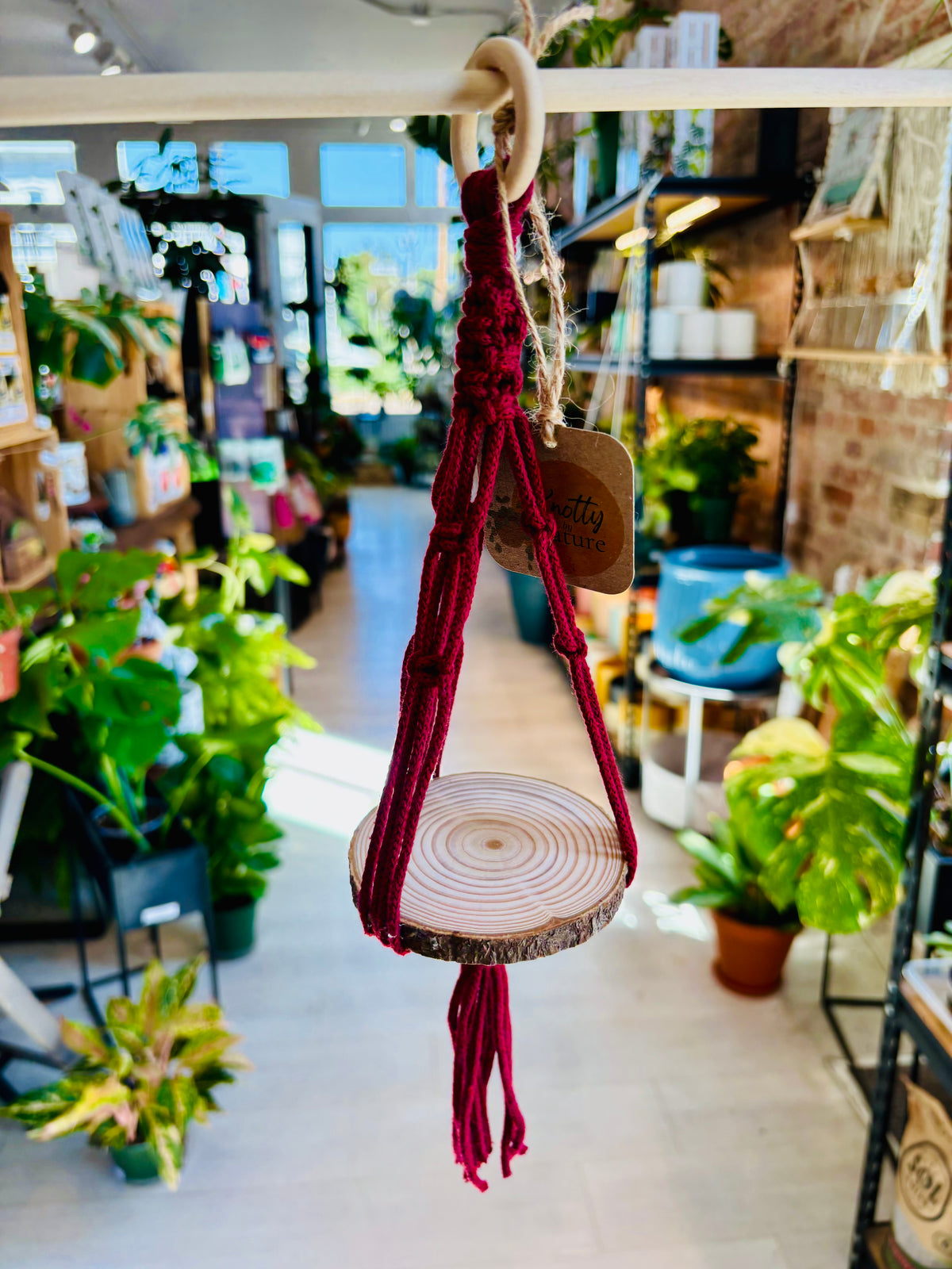 Knotty by Nature Macrame Hanger With Wooden Shelf