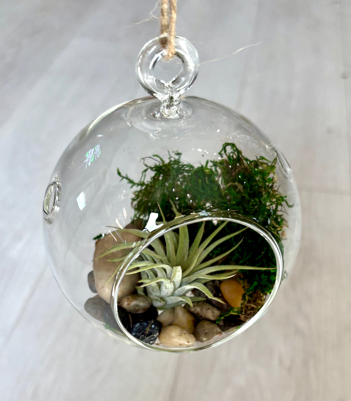 Hanging Airplant Terrarium Globes