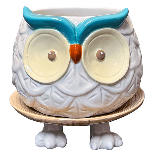 Hoots the Owl Footsie Planter