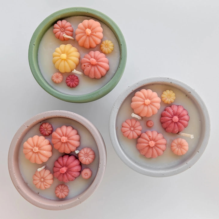 Succulent Candles