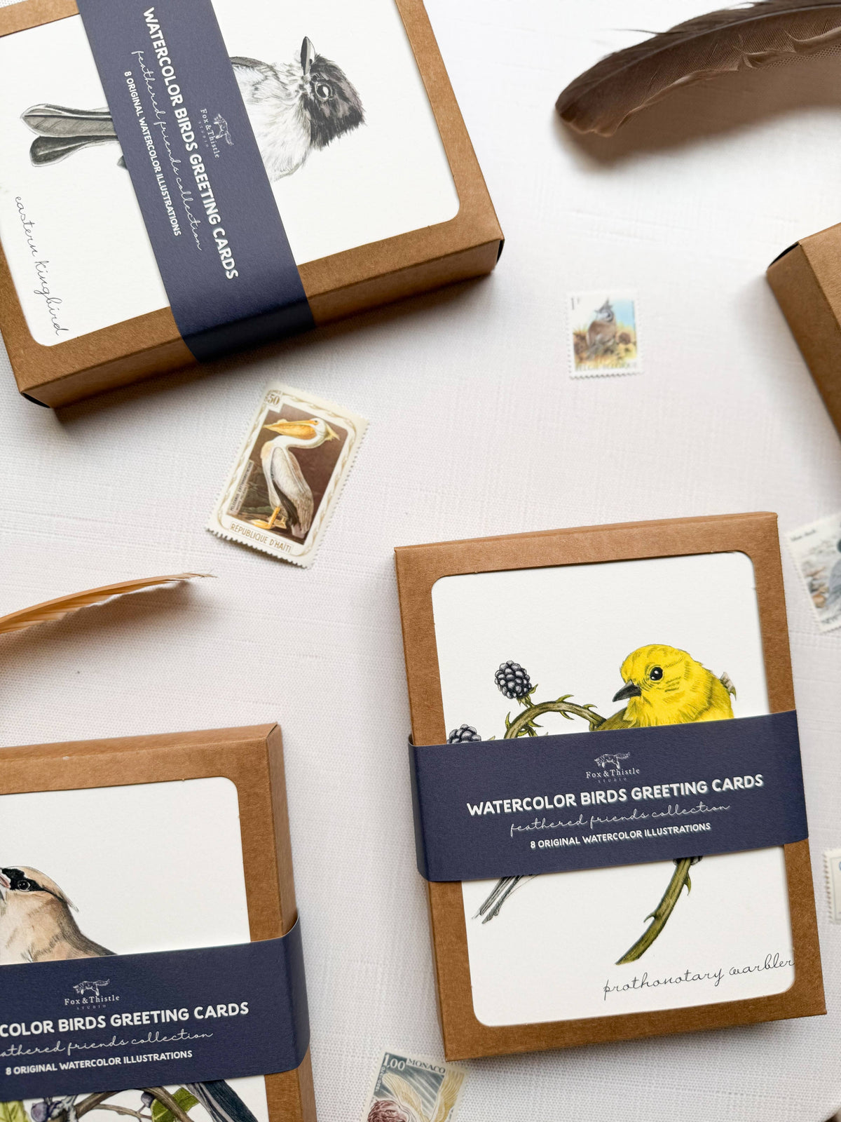 Boxed Watercolor Bird And Botanical Greeting Card Packs