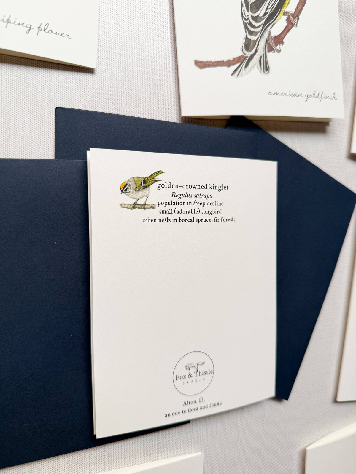 Boxed Watercolor Bird And Botanical Greeting Card Packs