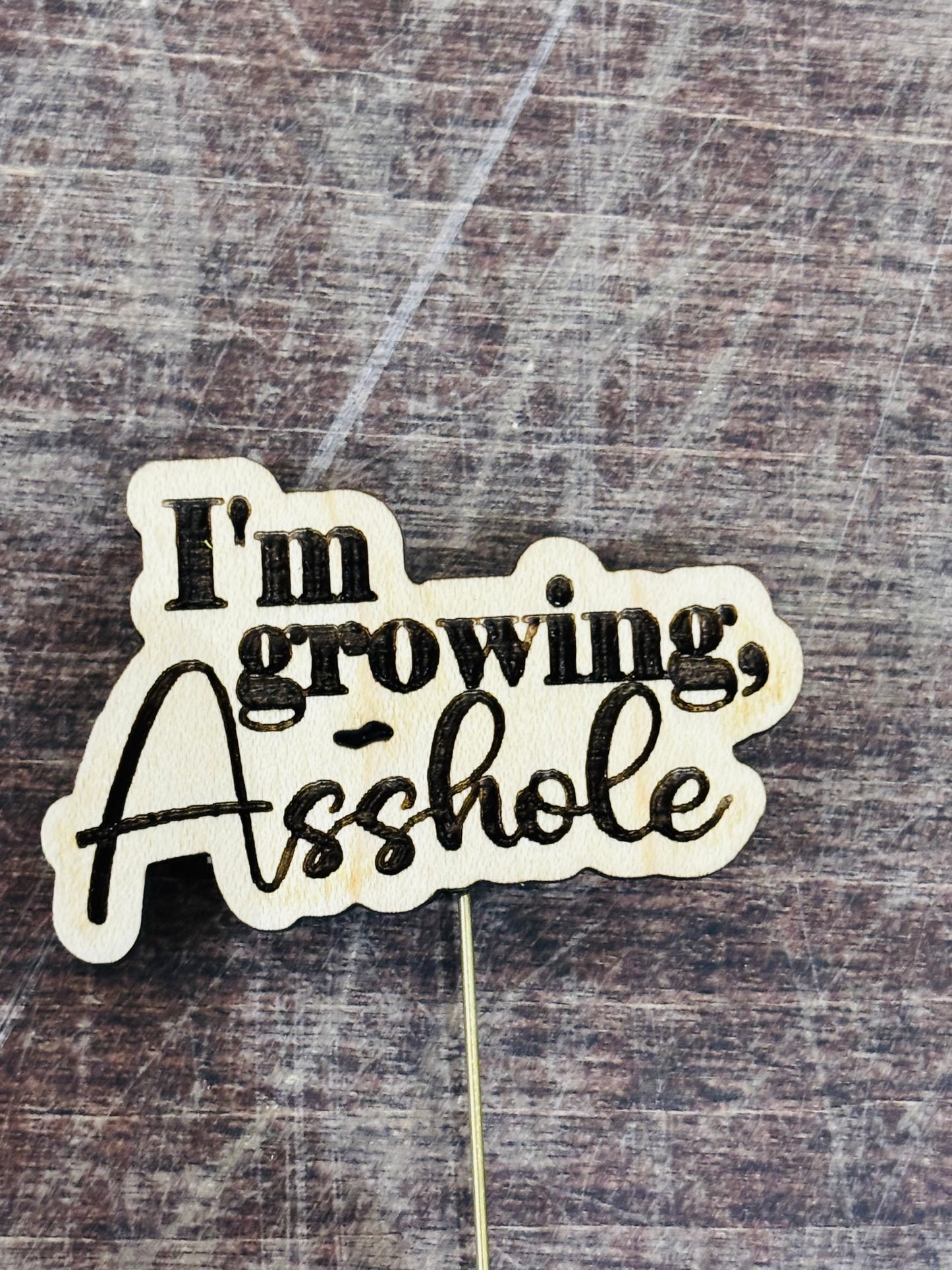 Silva & Ore Snarky Plant Picks