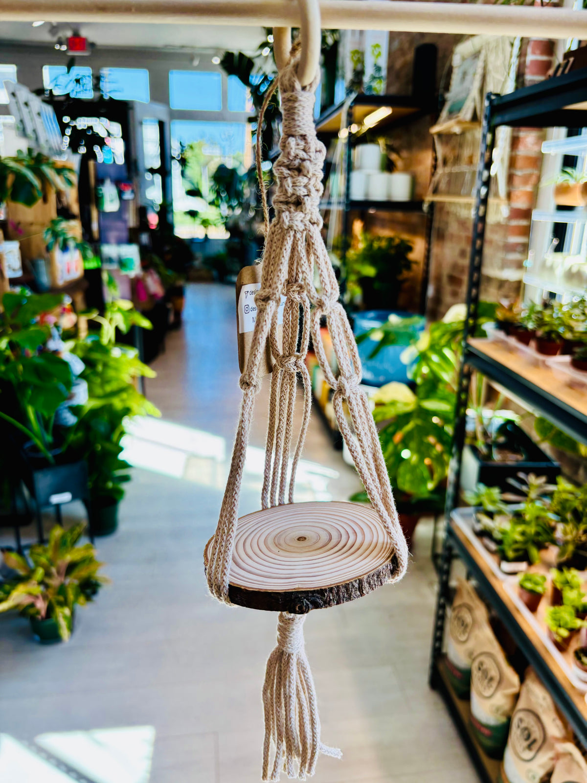 Knotty by Nature Macrame Hanger With Wooden Shelf