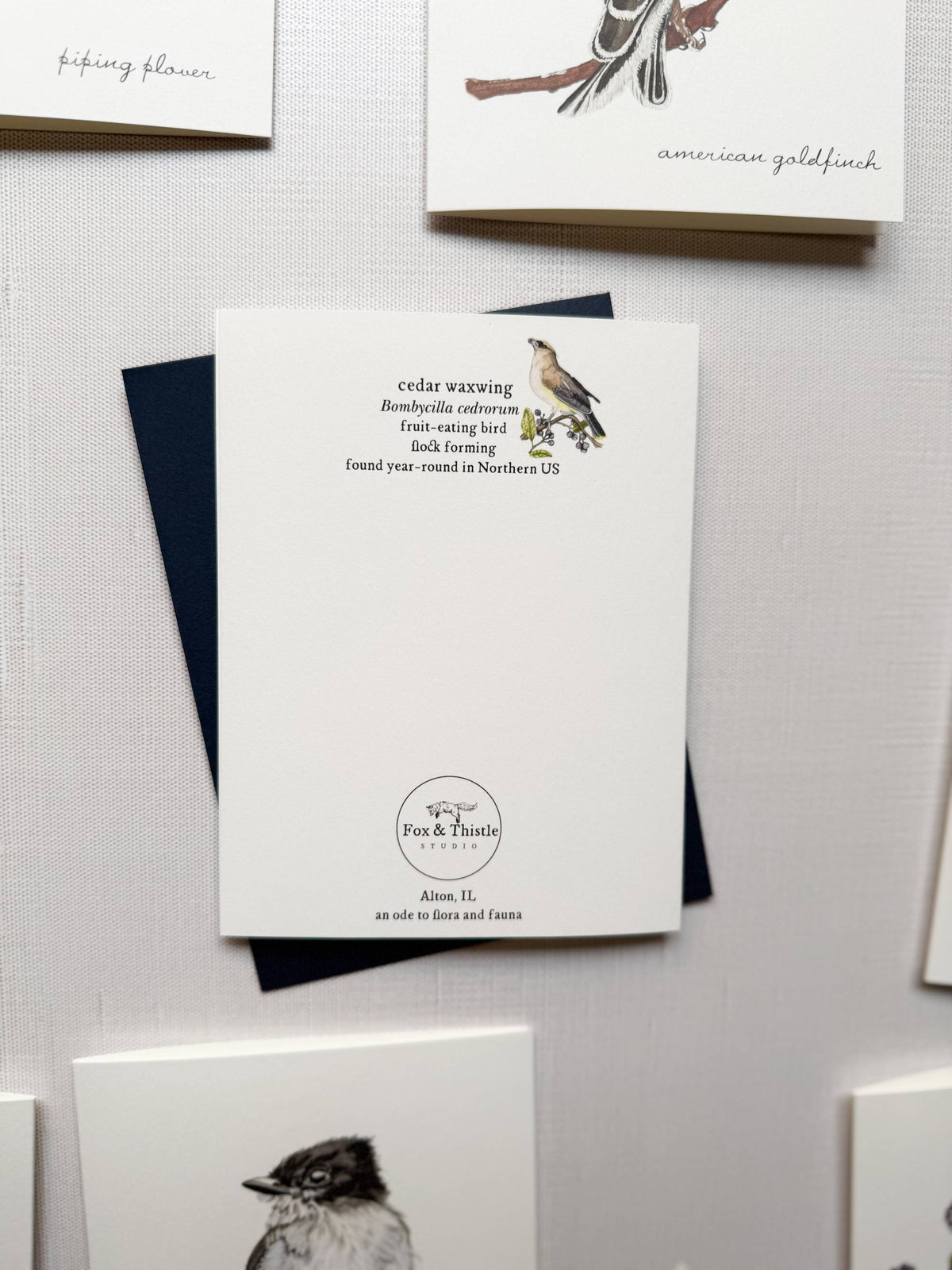 Boxed Watercolor Bird And Botanical Greeting Card Packs