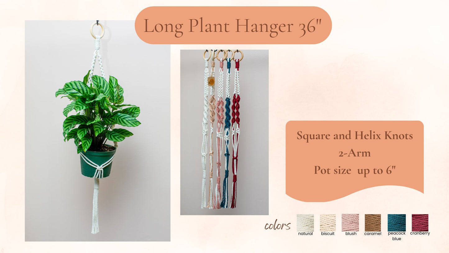 Knotty by Nature Macrame Hangers