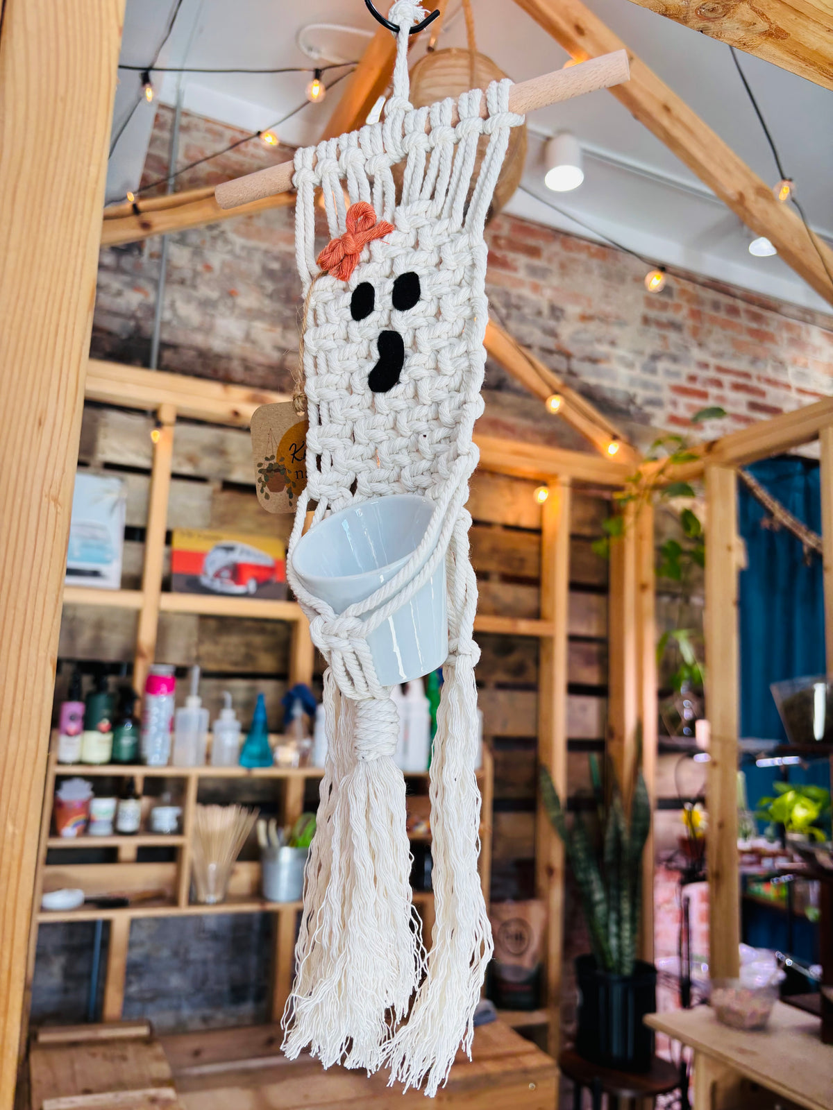 Knotty By Nature Ghost Macrame Hangers w/ 2" Pot