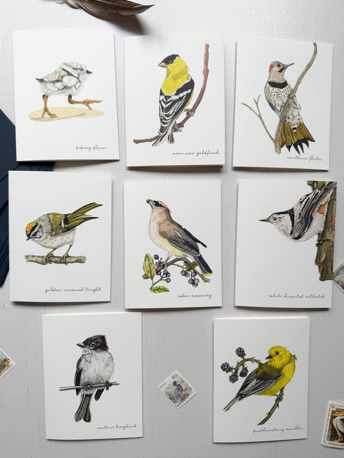 Boxed Watercolor Bird And Botanical Greeting Card Packs