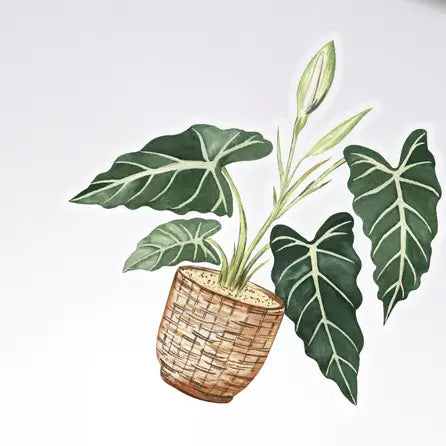 Plant Scouts Stickers