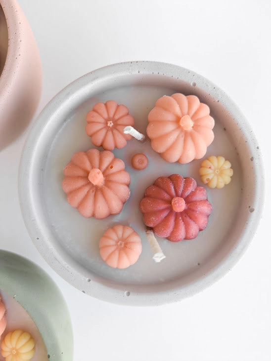 Succulent Candles