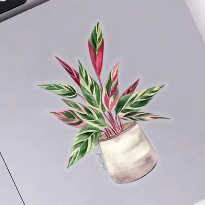 Plant Scouts Stickers